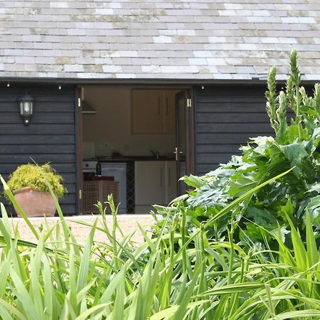 Five Cottages In Aonb Ashford  Esterno foto