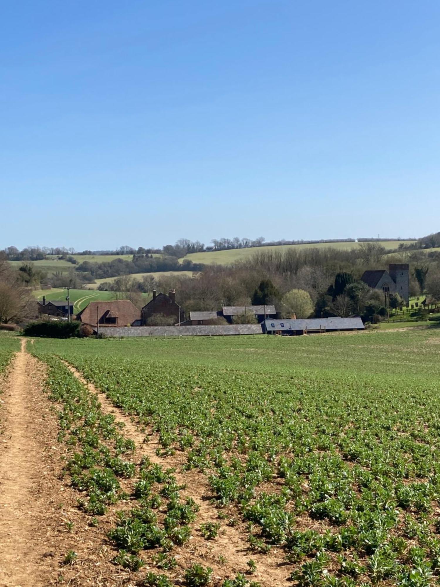 Five Cottages In Aonb Ashford  Esterno foto